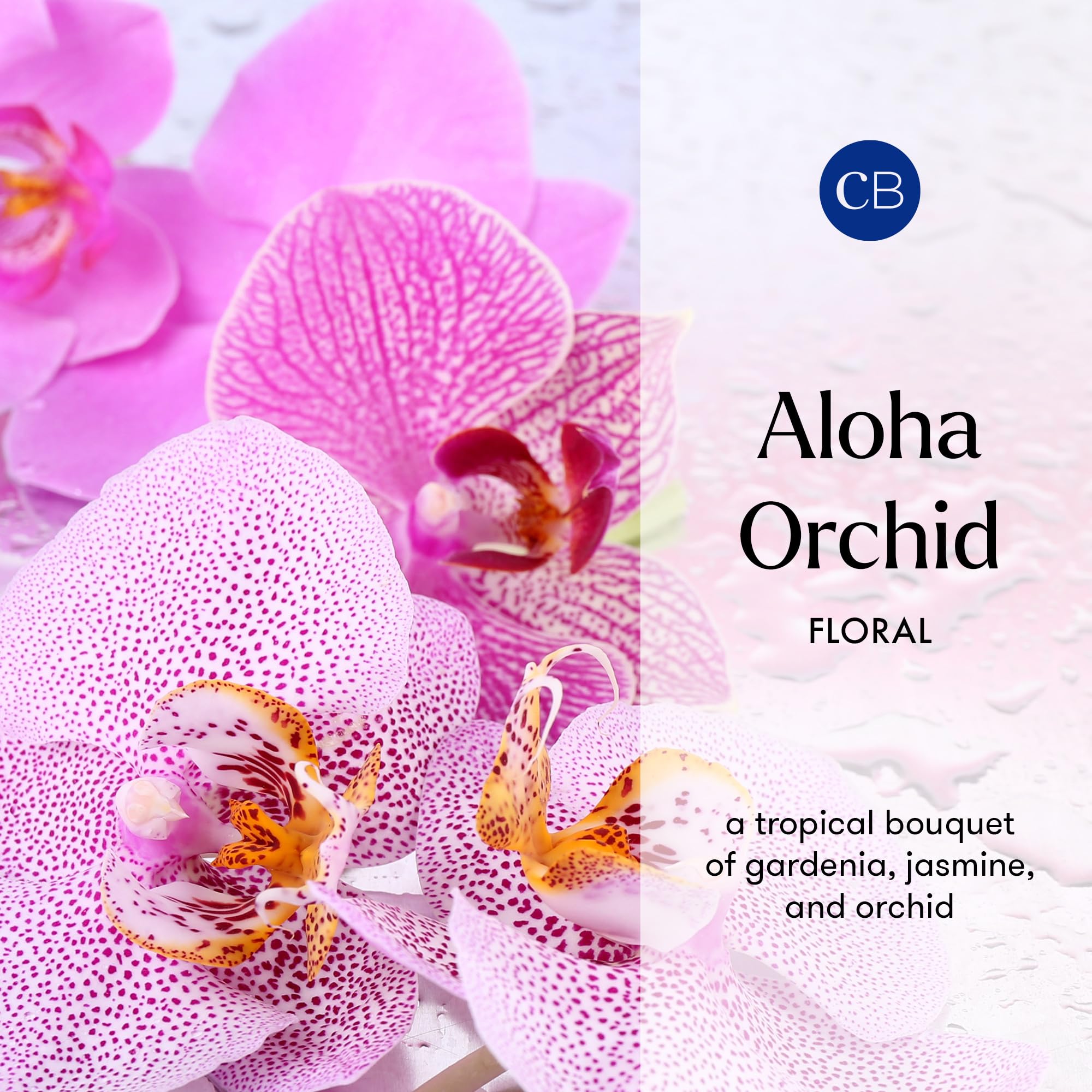 Capri Blue Aloha Orchid Reed Diffuser Set - Includes Reed Diffuser Sticks, Fragrance Oil, and Glass Bottle - Luxury Scented Room Fresheners - Cobalt Blue (8 fl oz) - Image 4