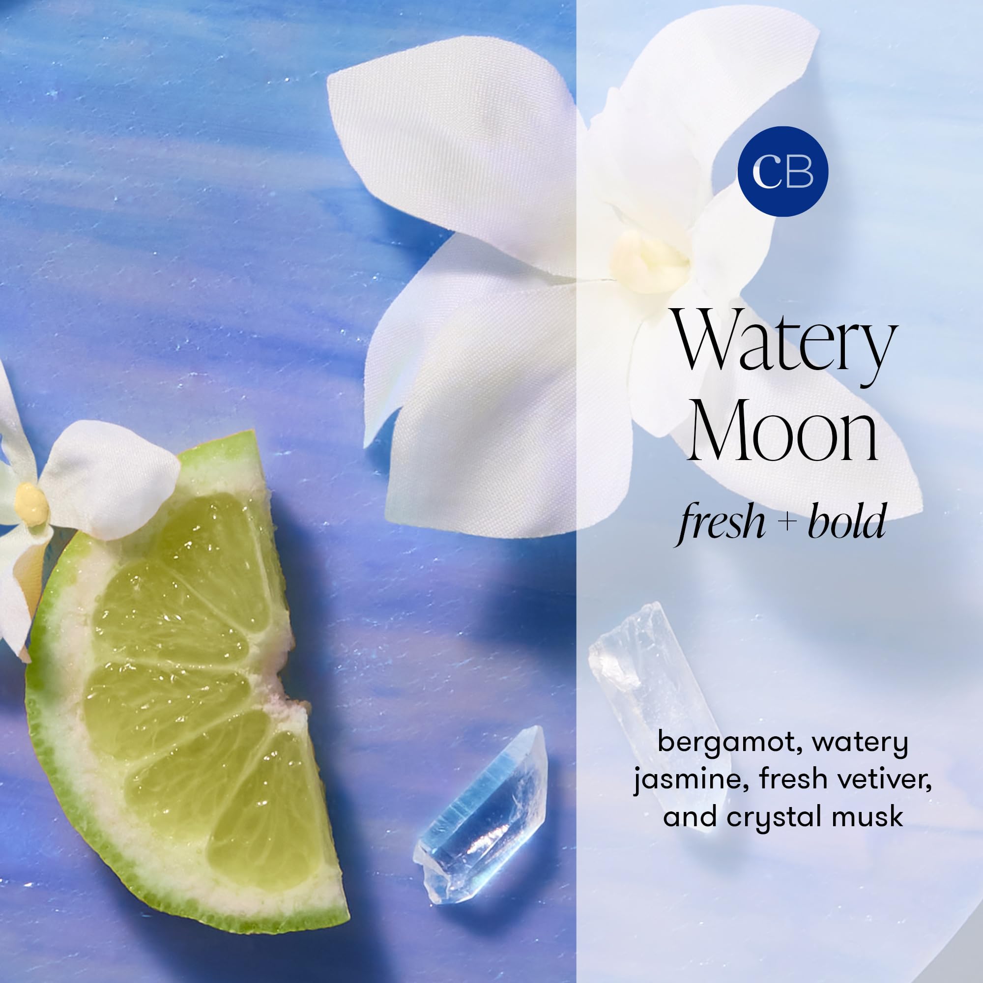 Capri Blue Bubble Bath - 16 Oz - Watery Moon - Image 3