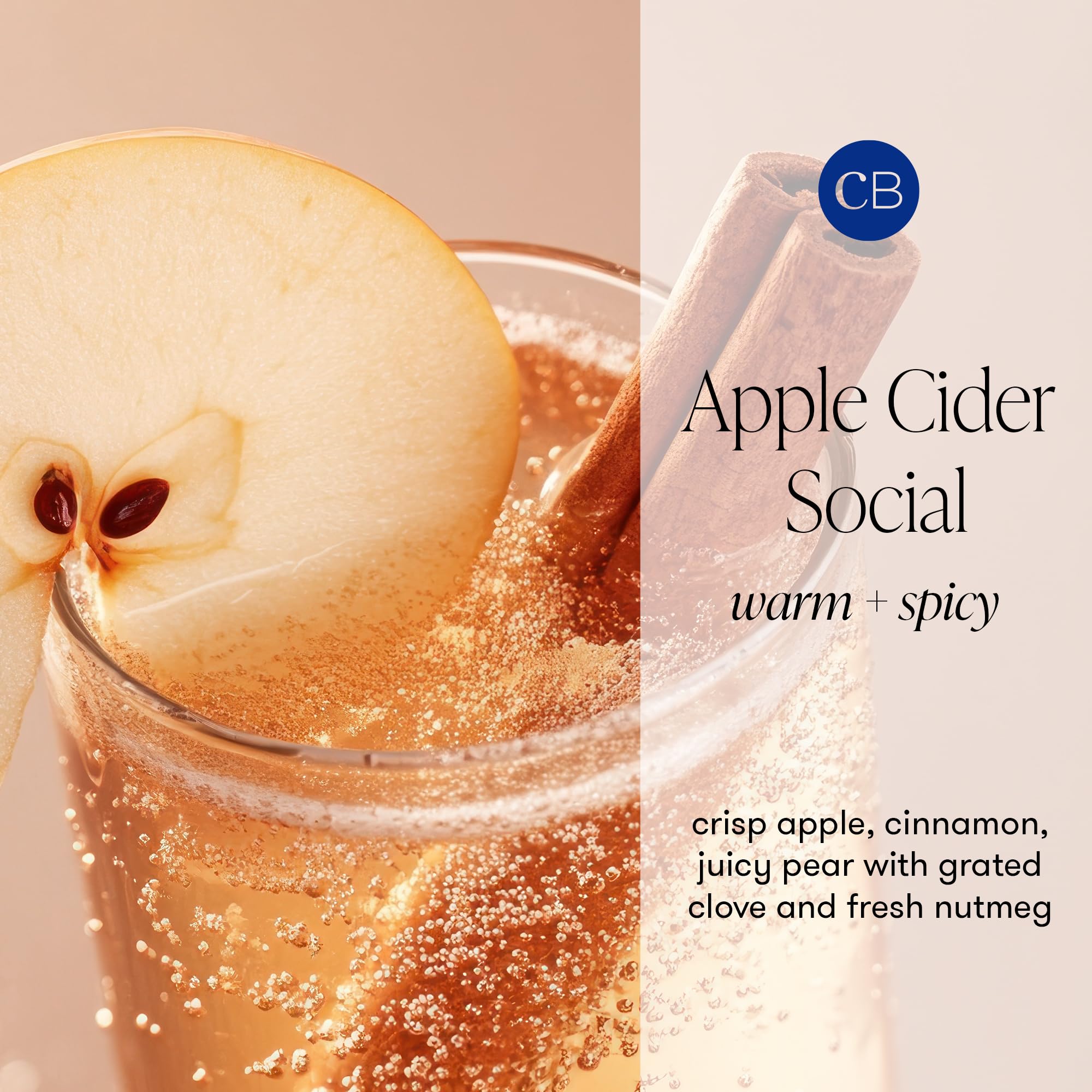 Capri Blue Glimmer Reed Diffuser Set - Includes Diffuser Sticks, Scented Oil, and Decorative Glass Bottle - Home Decor Room Freshener - Capri Blue Home Fragrance - Apple Cider Social (8 fl oz) - Image 3