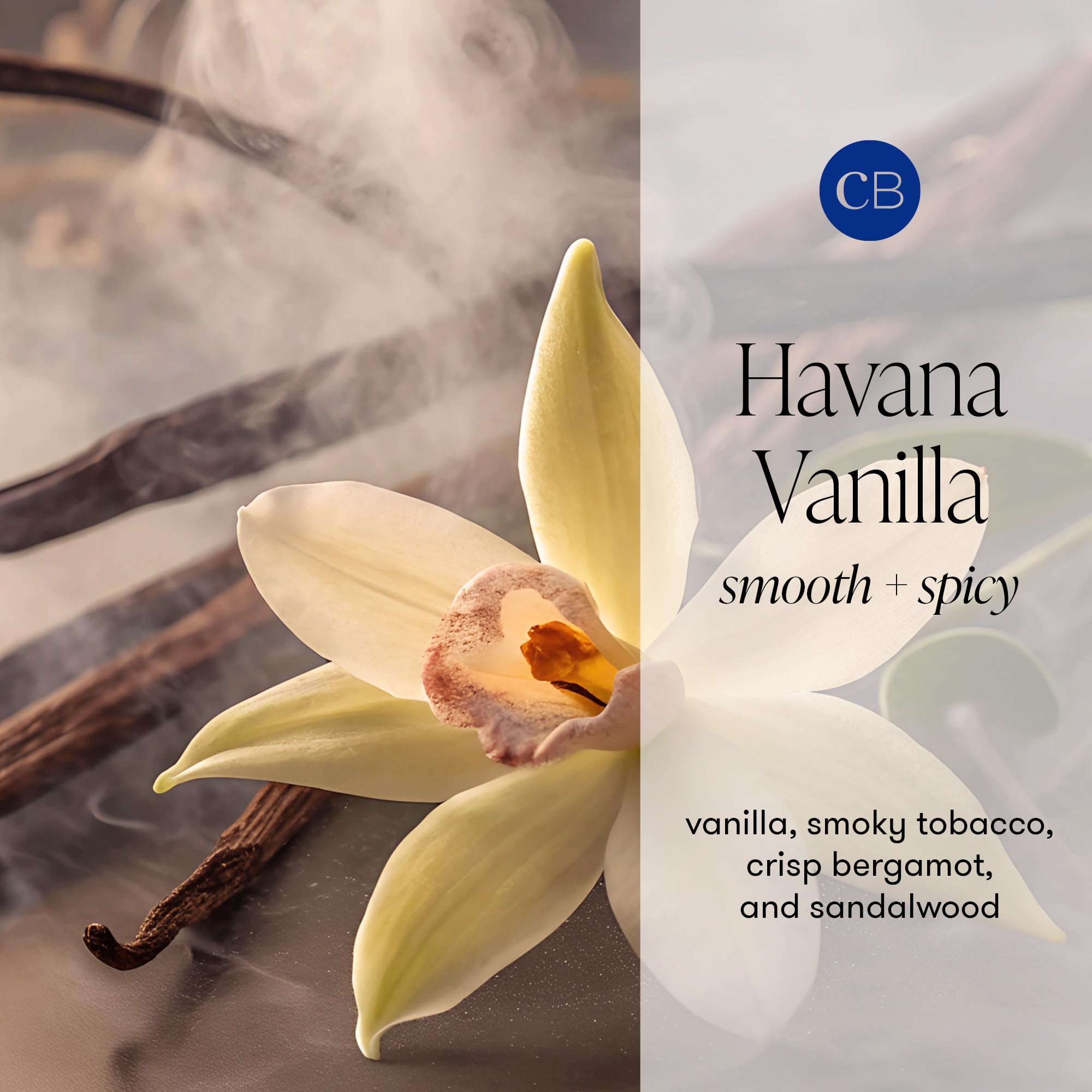 Capri Blue Scented Candles - Pattern Play Glass Jar Candles - Long Lasting Soy Wax Blend - Luxury Home Decor - Notes of Vanilla, Bergamot, & Sandalwood - Gifts for Women (Havana Vanilla, 8 oz) - Image 3